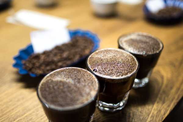Organic Coffee Cupping Table